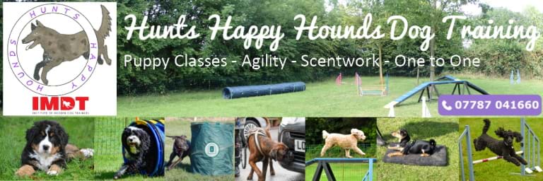 Hunts Happy Hounds home page banner