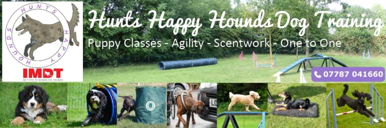 Hunts Happy Hounds web banner