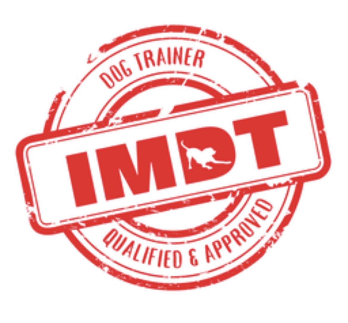 IMDT logo